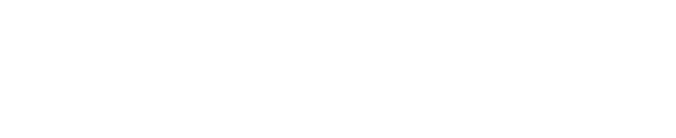 geopulse-logo-white